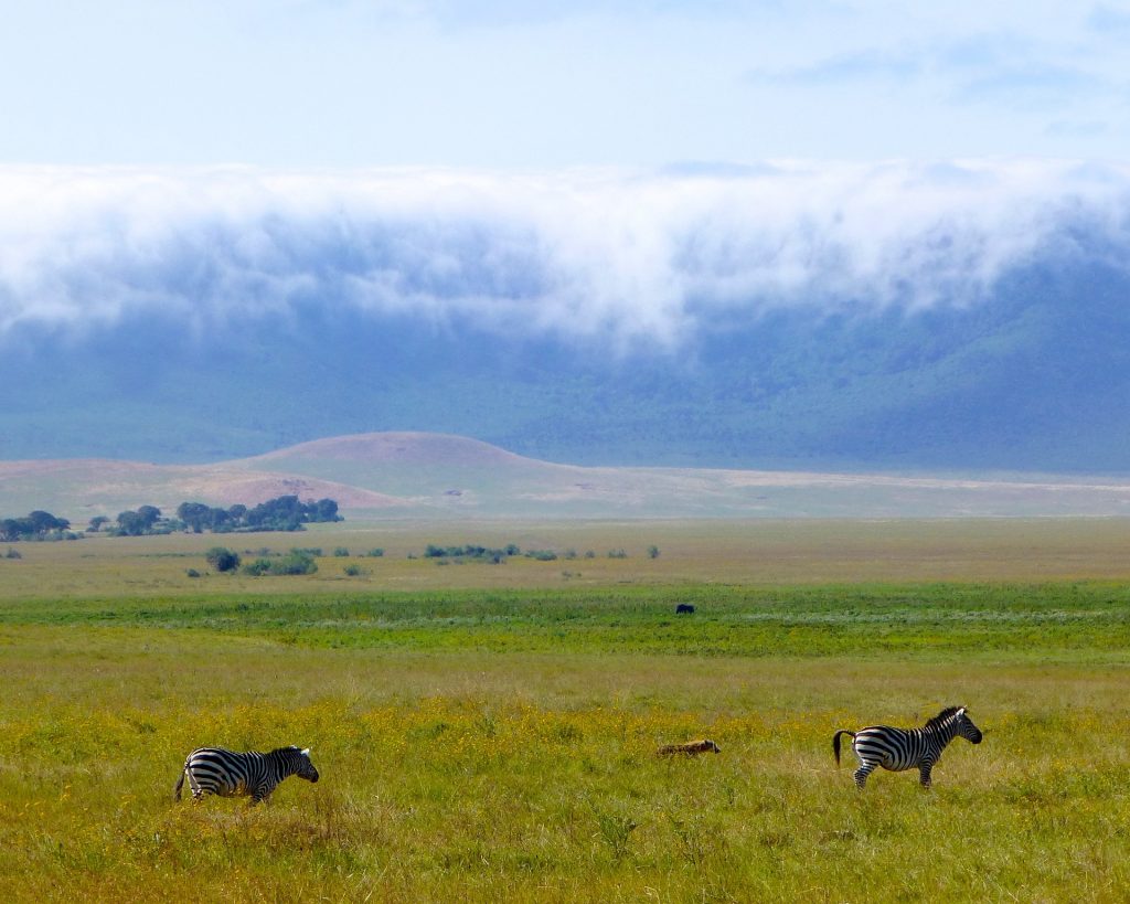 7 Days Explore Ngorongoro Crater