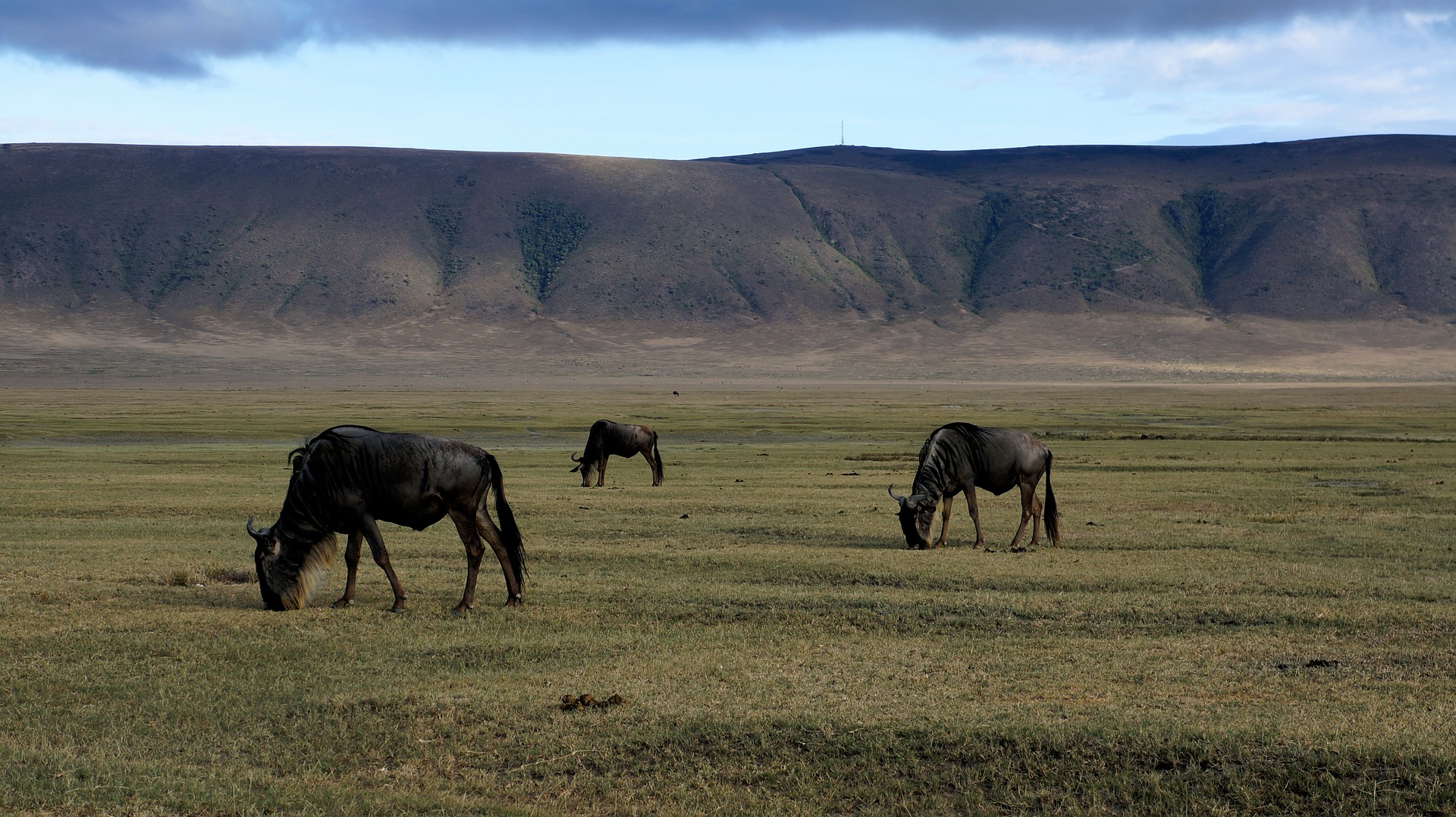 ngorongoro Crater by done adventures
