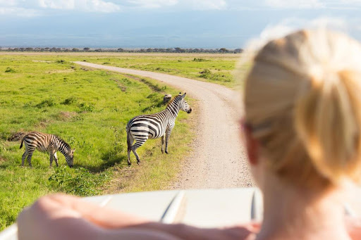 tanzania private safari