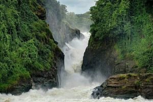 Murchison_Falls,_Uganda