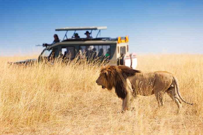 tanzania private safari