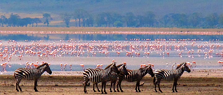 Lake Manyara National Park Tanzania