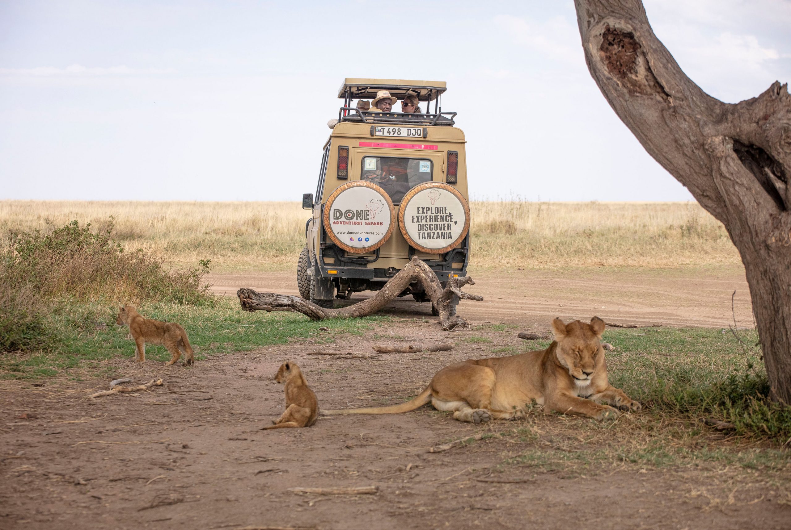 8 Days Exquisite Tanzania Fly-In Safari For Seniors