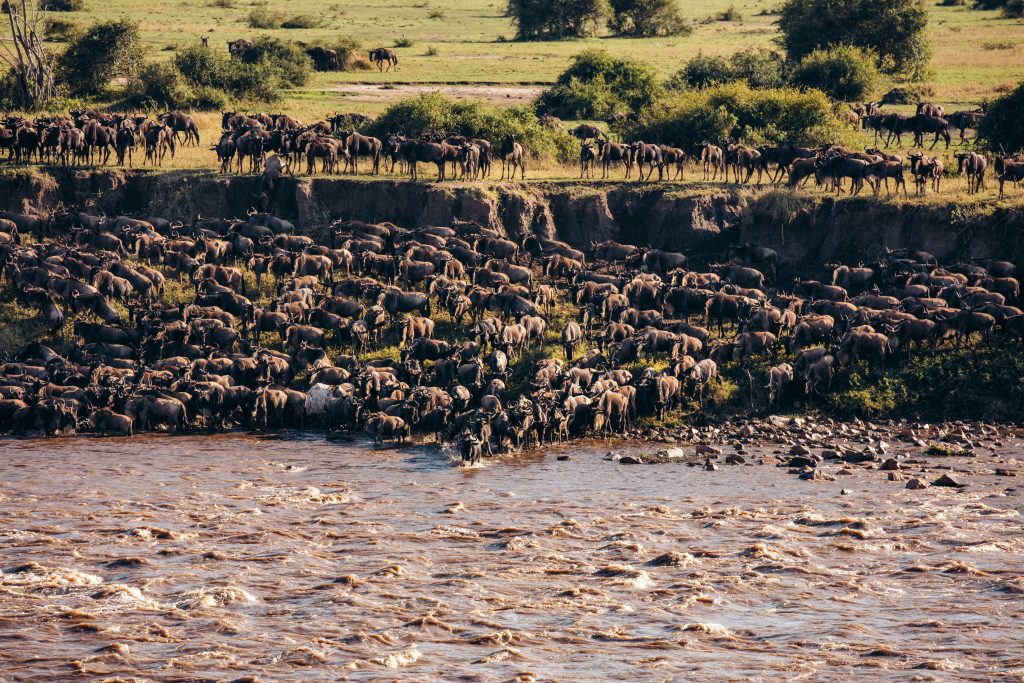 Serengeti Migration safaris